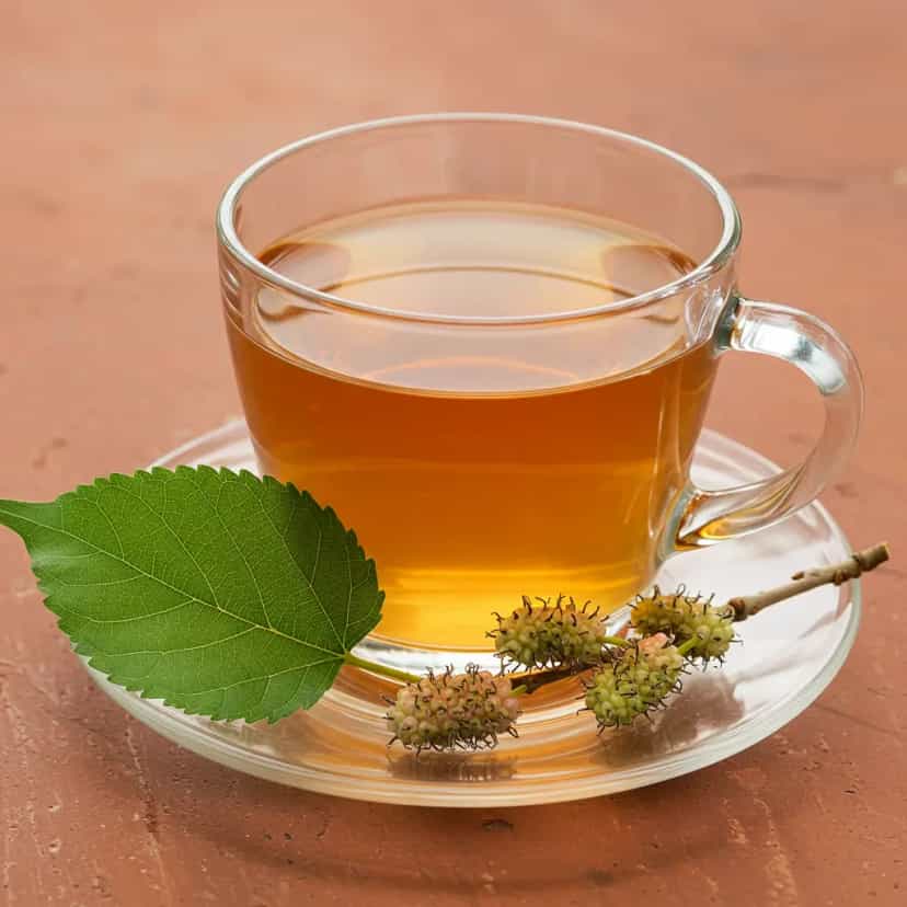 Como escolher o chá verde ideal: guia completo de marcas e tipos