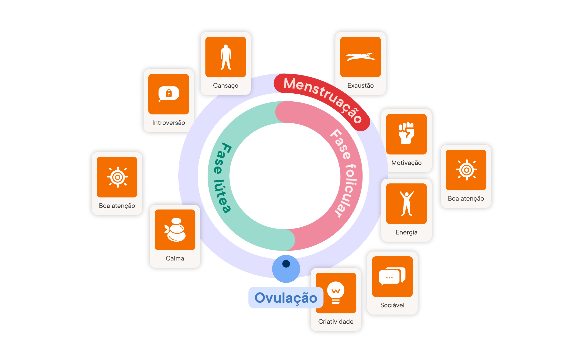ciclo menstrual e produtividade