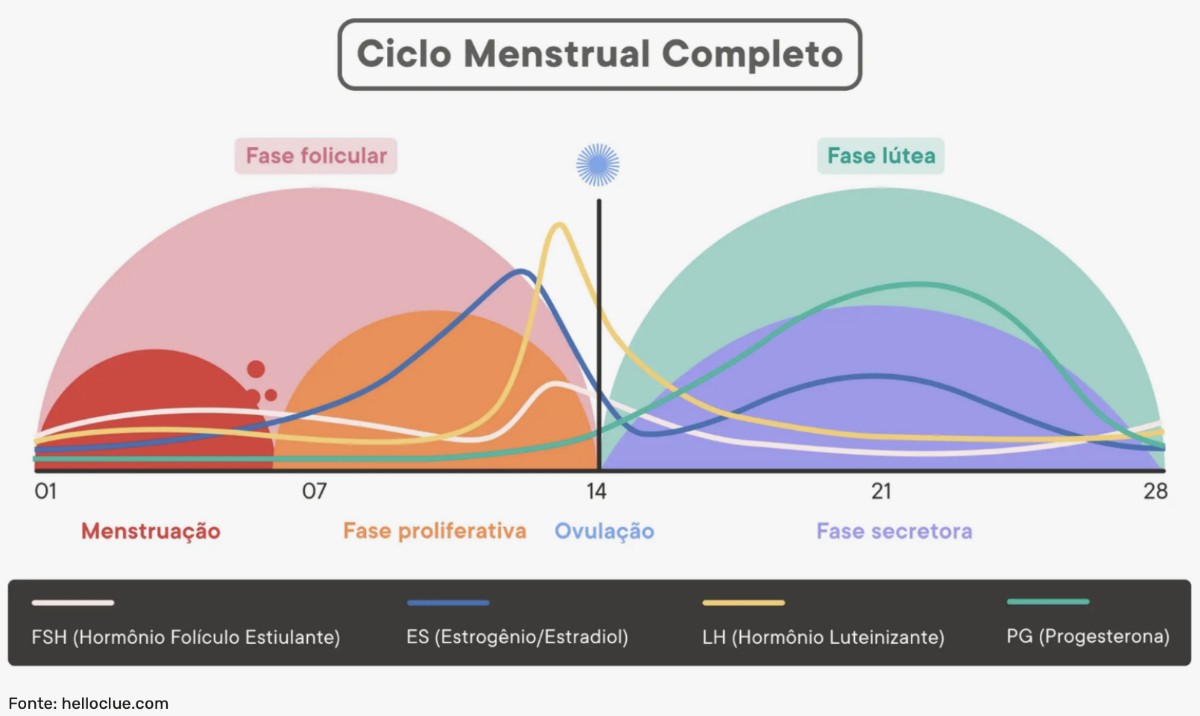 como o ciclo hormonal afeta o trabalho