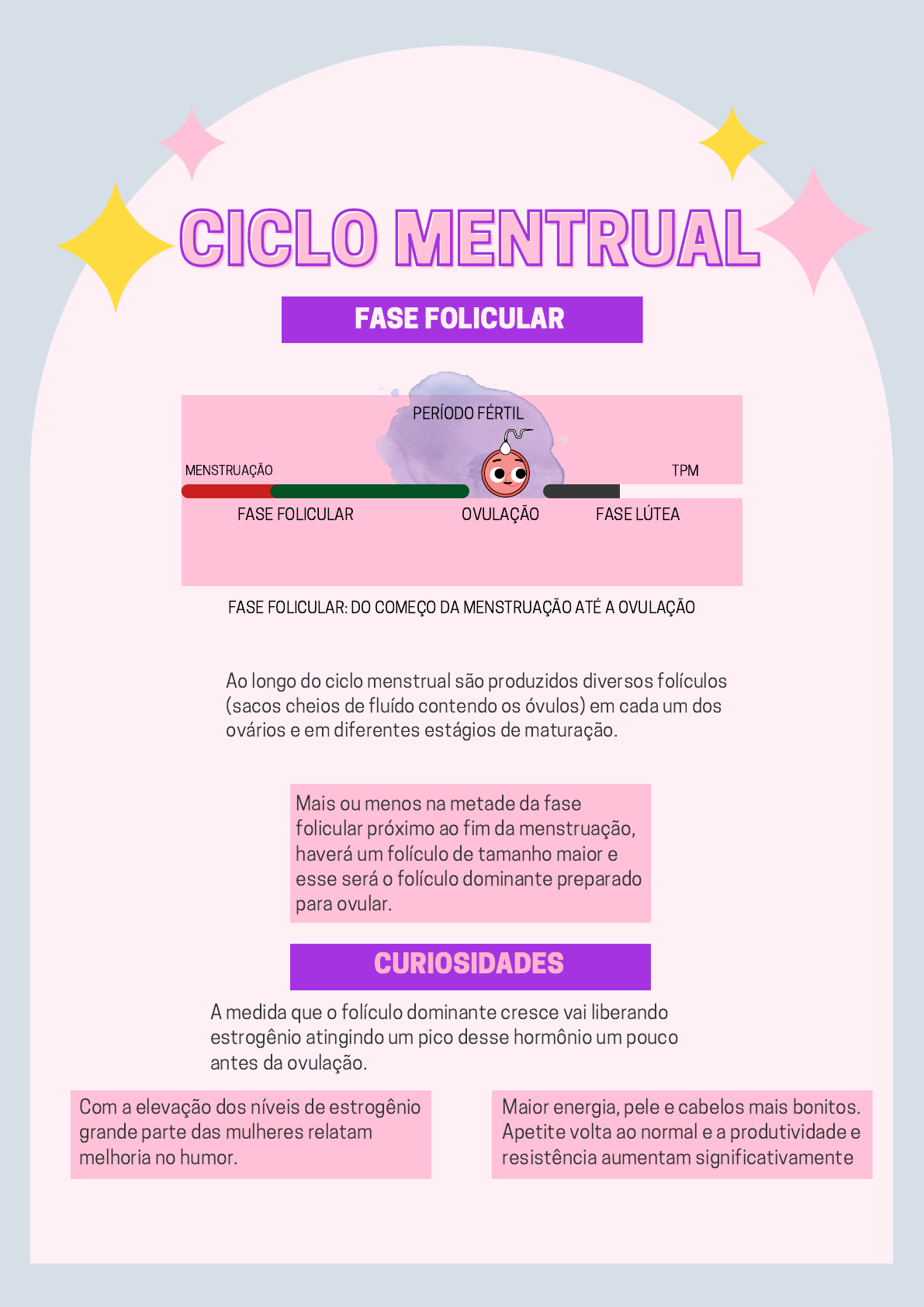 como o ciclo hormonal afeta o trabalho