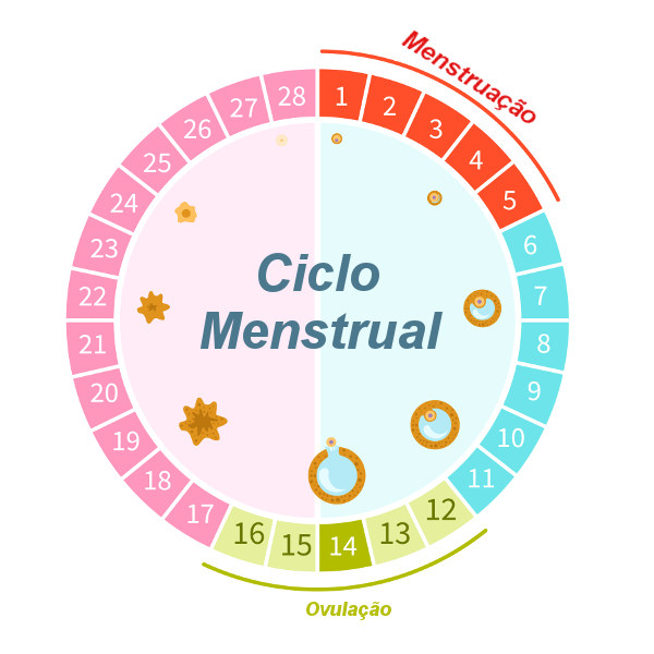 ciclo menstrual e produtividade