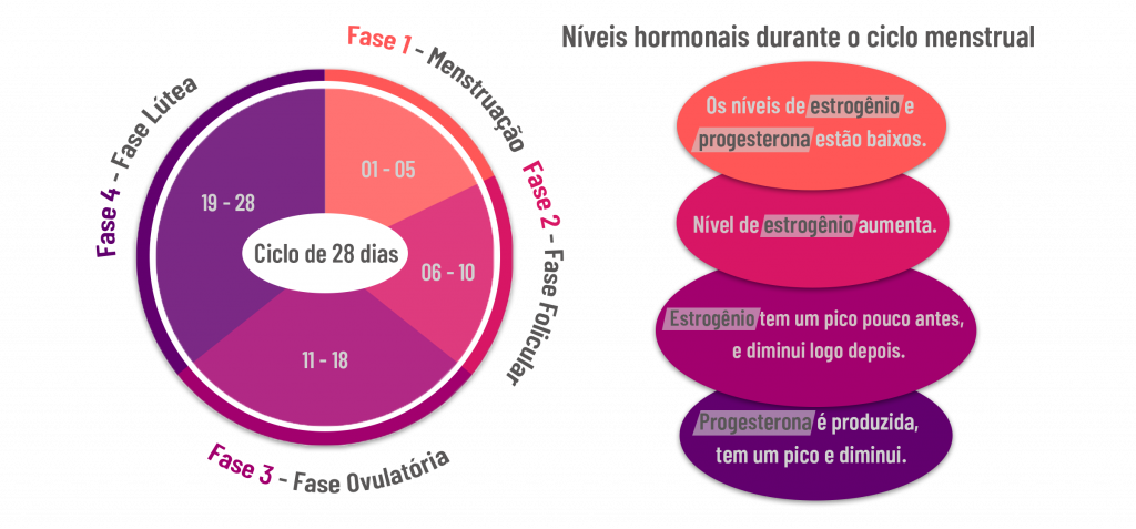 como o ciclo hormonal afeta o trabalho