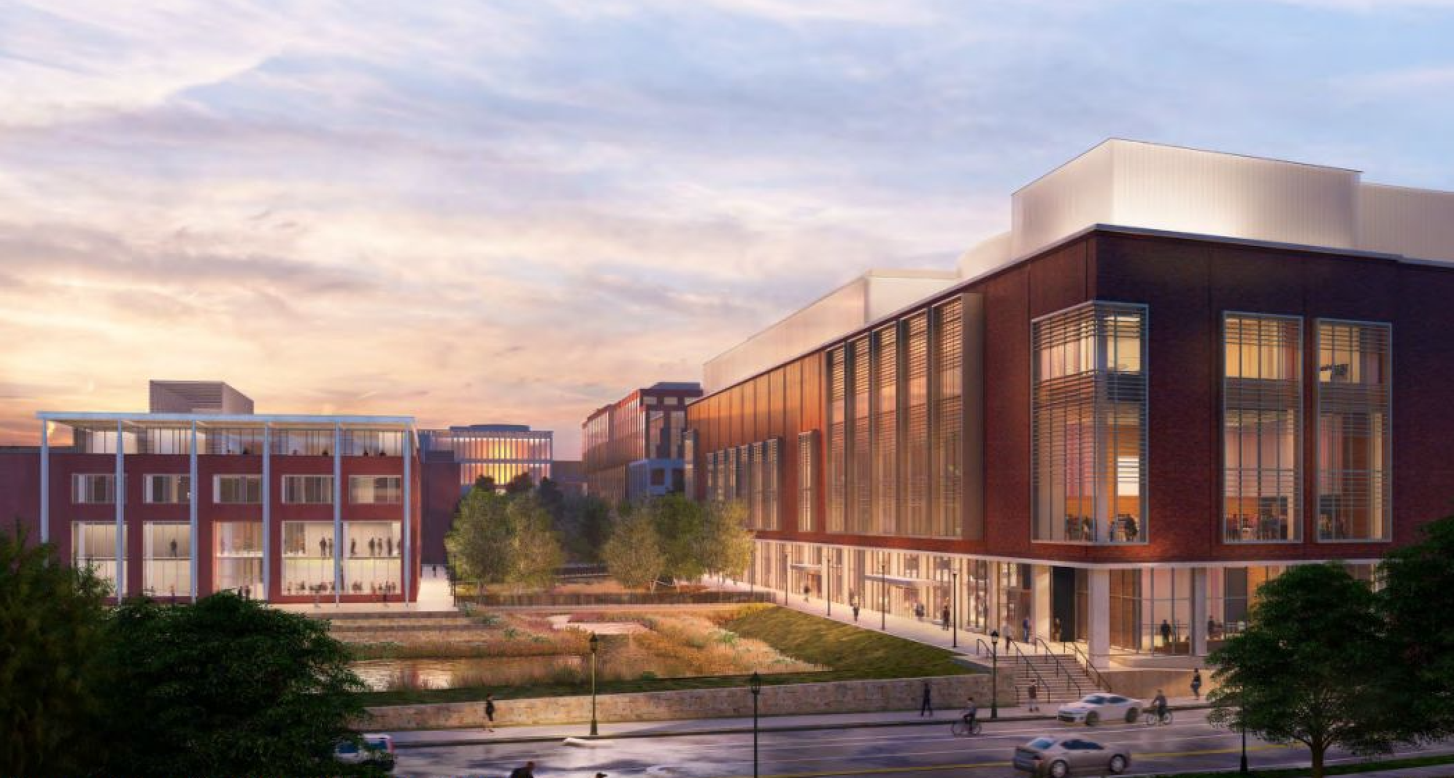 Guia Completo do Cipó-Uva: Cultivo