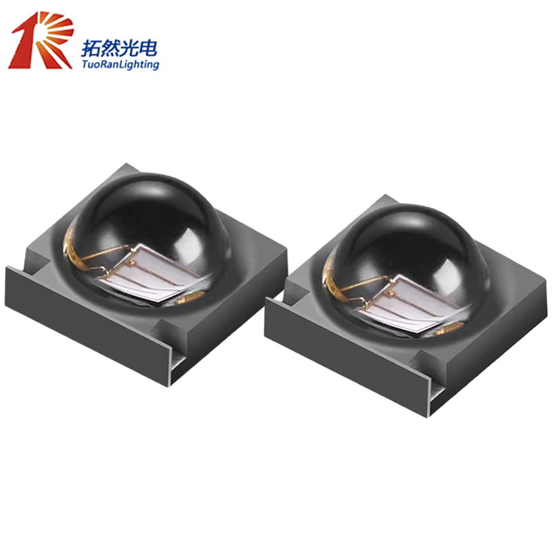 Guia Completo do Cipó-Uva: Cultivo