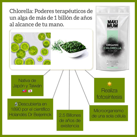 Chlorella vs Spirulina: Qual a Melhor para Você?