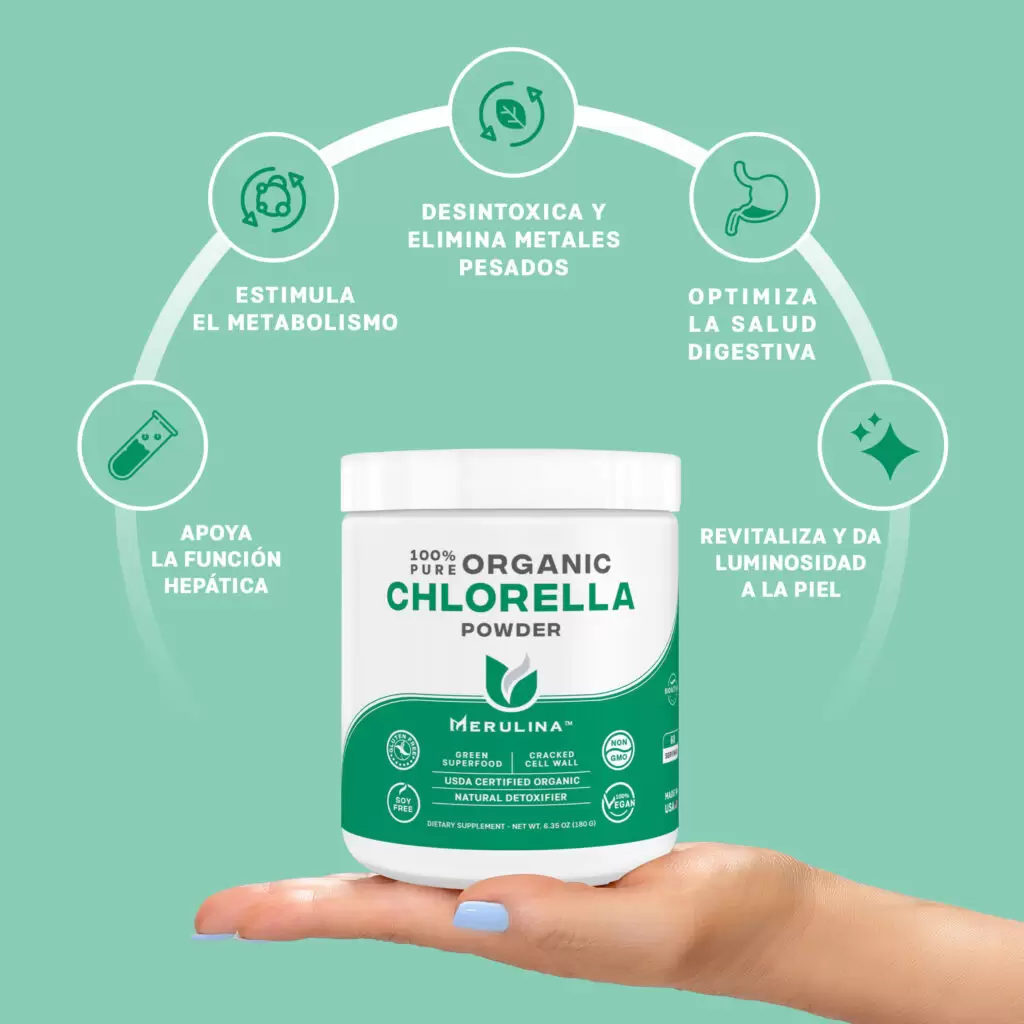 Receitas Saudáveis com Clorela: Integrando o Superalimento na Dieta