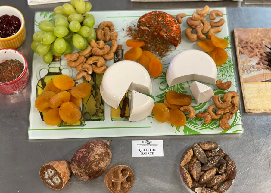 Receitas Deliciosas com Farinha de Babaçu: Da Tradição à Inovação