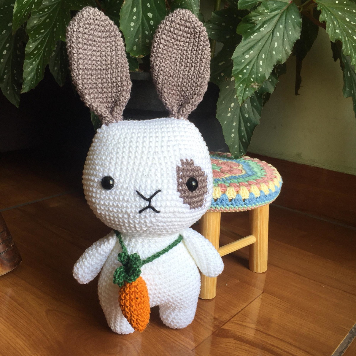 Guia Completo: Kits de Amigurumi para Iniciantes