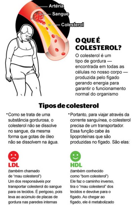 colesterol bom e ruim