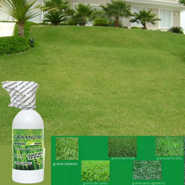 controle manual de tiririca com batatinhas