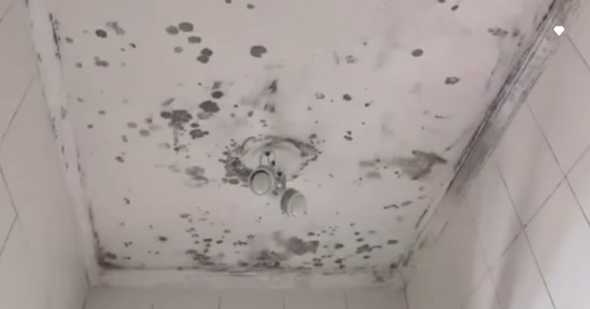 como acabar com umidade na parede do banheiro