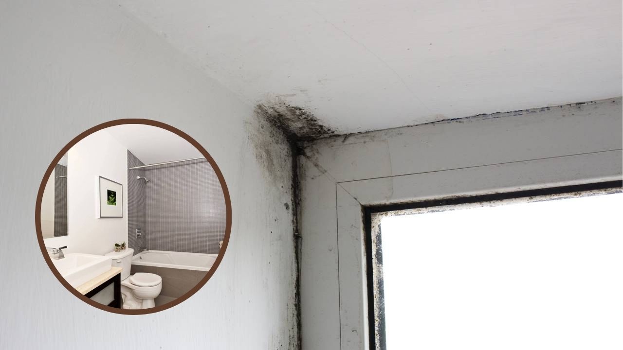 eliminar mofo banheiro