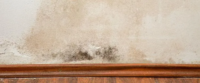 pintura antimofo banheiro