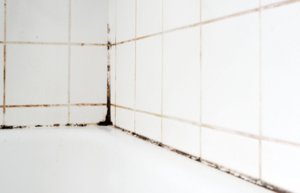 como tirar umidade da parede do banheiro