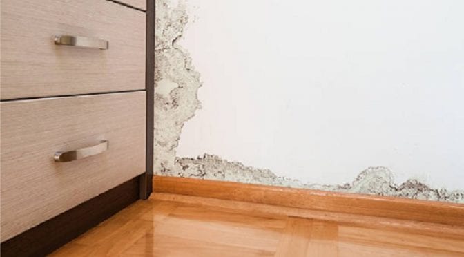 pintura antimofo banheiro