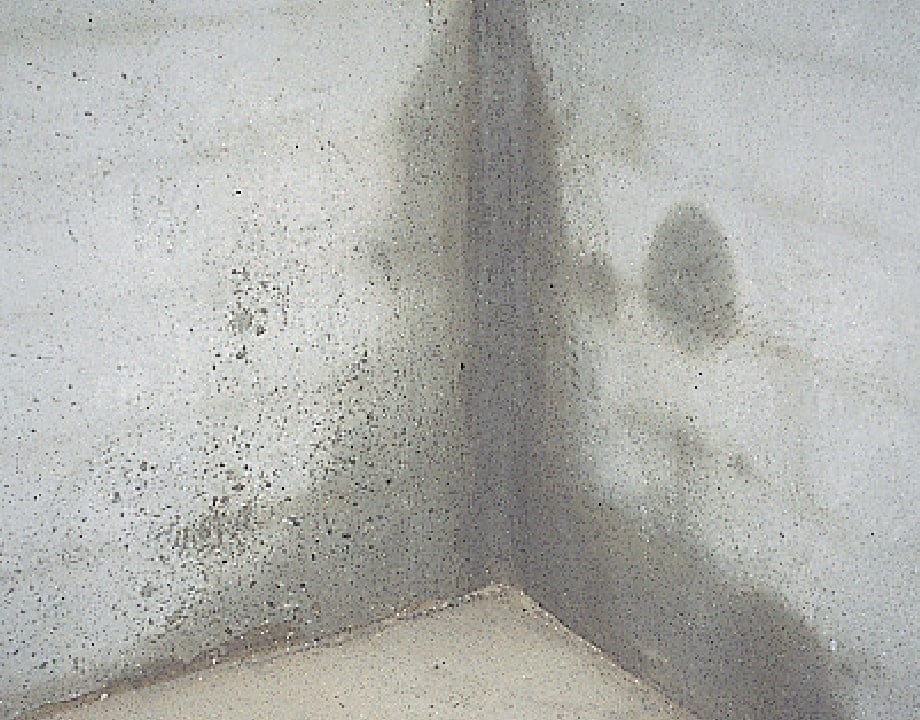 como tirar umidade da parede do banheiro