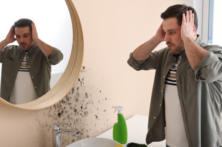 eliminar mofo banheiro