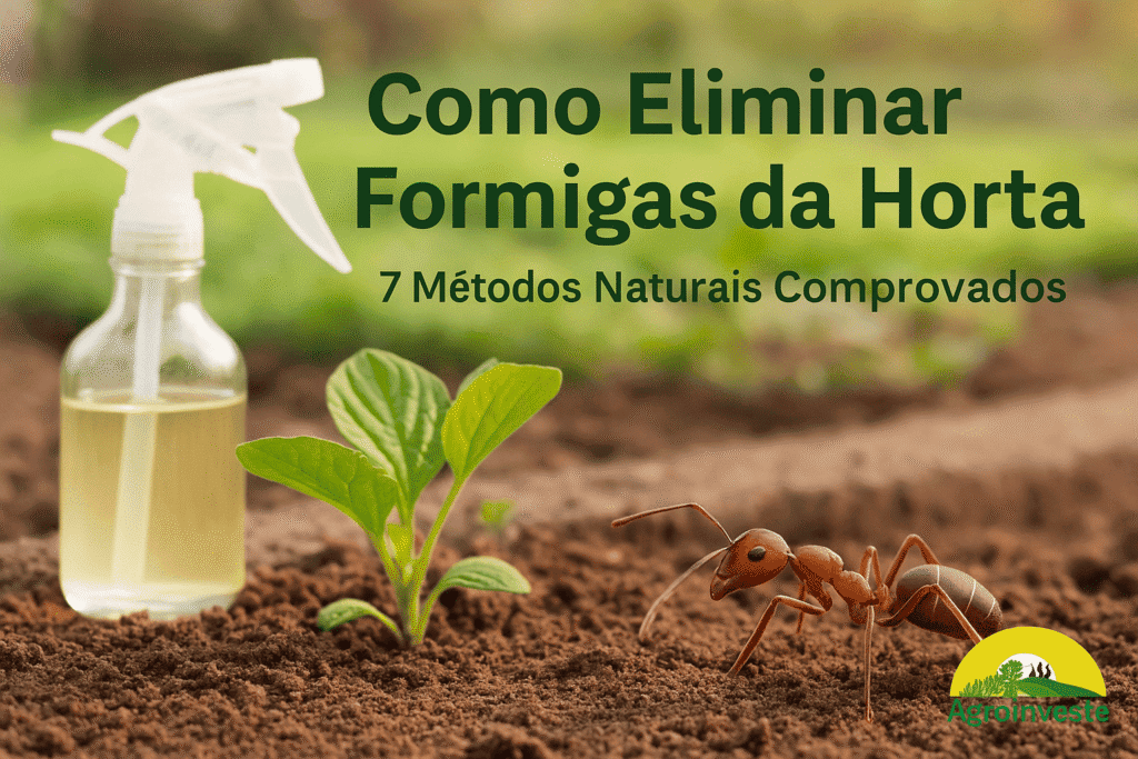 métodos caseiros para controle de formigas no jardim
