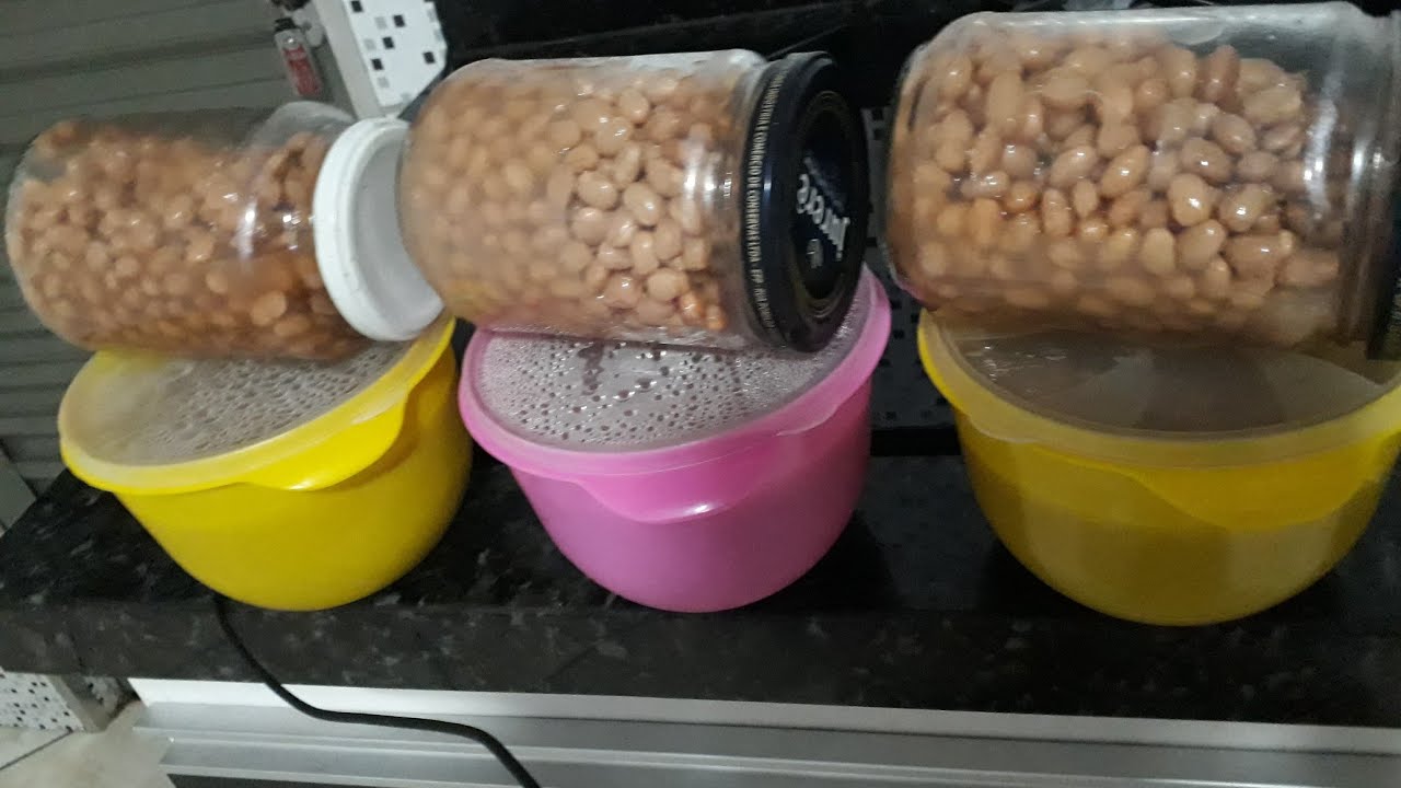 como congelar feijao guia completo para facilitar sua rotina