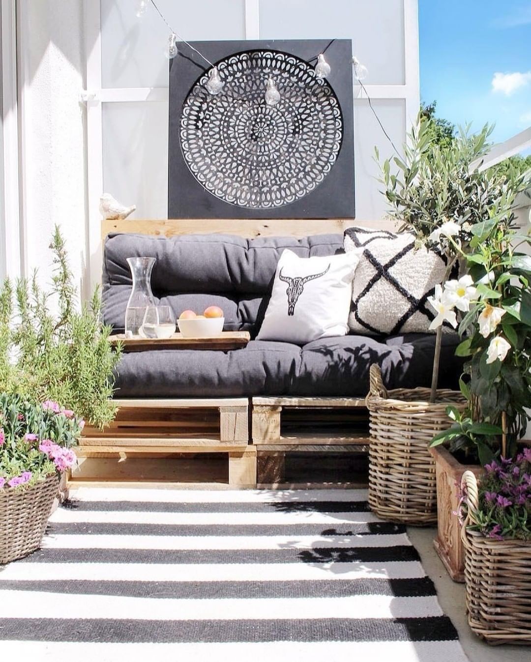 Guia completo de plantas baratas para áreas externas