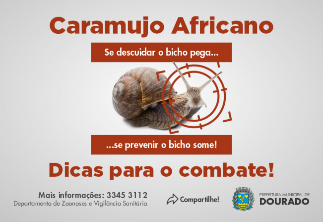 Identificando o Caramujo Africano: Guia Completo
