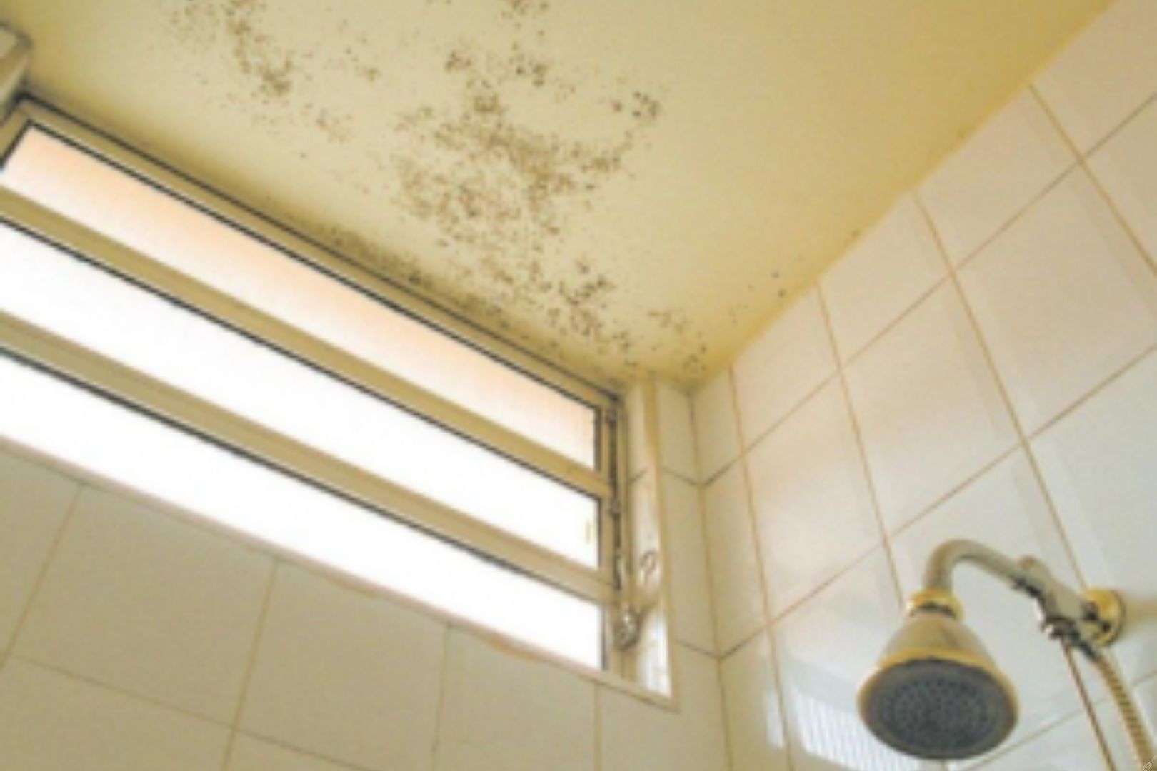 como evitar infiltração no box do banheiro