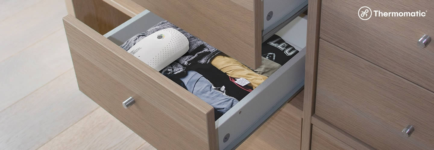 Receitas caseiras eficazes para eliminar o mofo do guarda-roupa