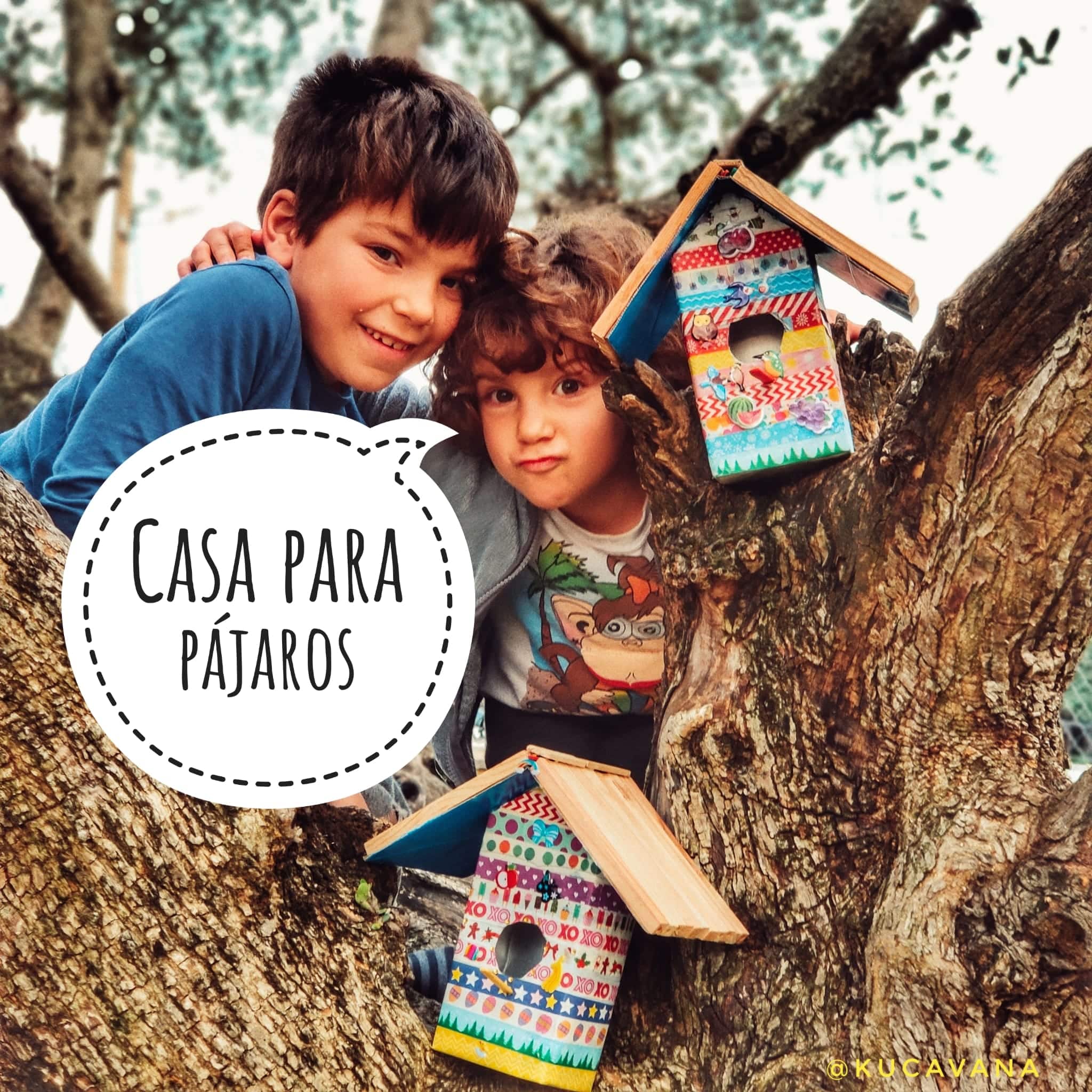 casinha de passarinho reciclada de caixa de leite