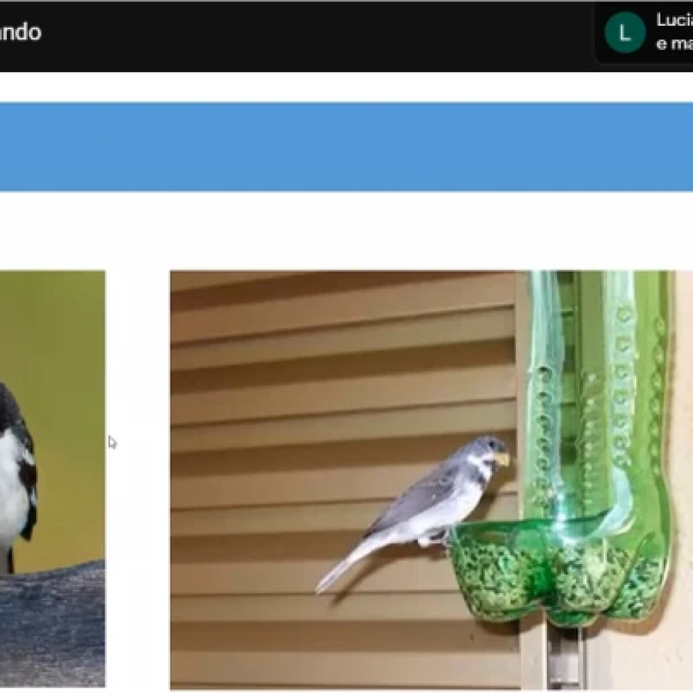 Outras ideias criativas de artesanato com garrafa PET para o jardim