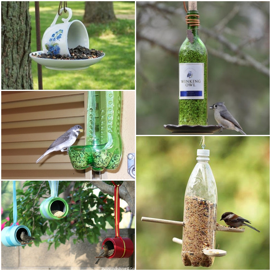 Como manter a higiene do comedouro de pássaros para evitar doenças