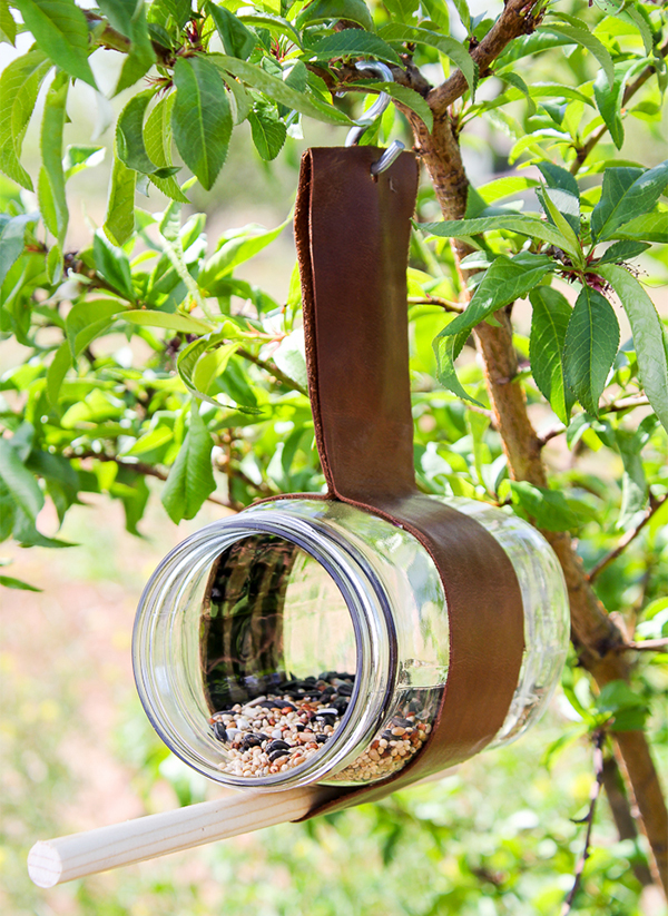 Dicas para proteger seu comedouro de pássaros de predadores