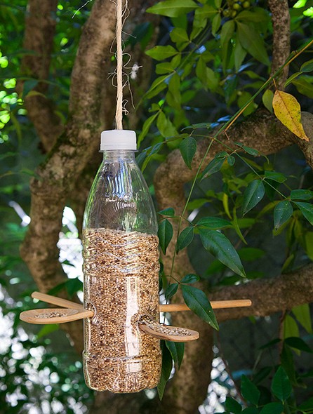 Dicas para proteger seu comedouro de pássaros de predadores