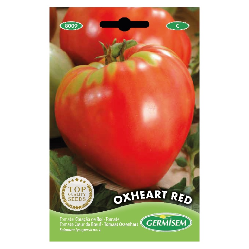 Receita de Espetinhos Divertidos com Corações de Tomate