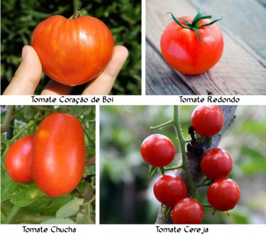 Decoração de Salada Caprese com Tomates em Coração