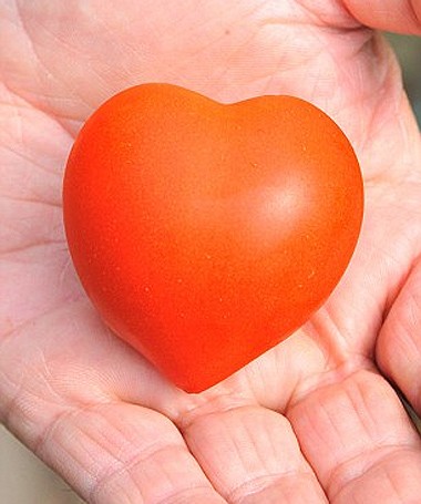 5 maneiras criativas de usar tomates em formato de coração