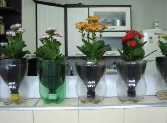 como fazer flor de garrafa pet