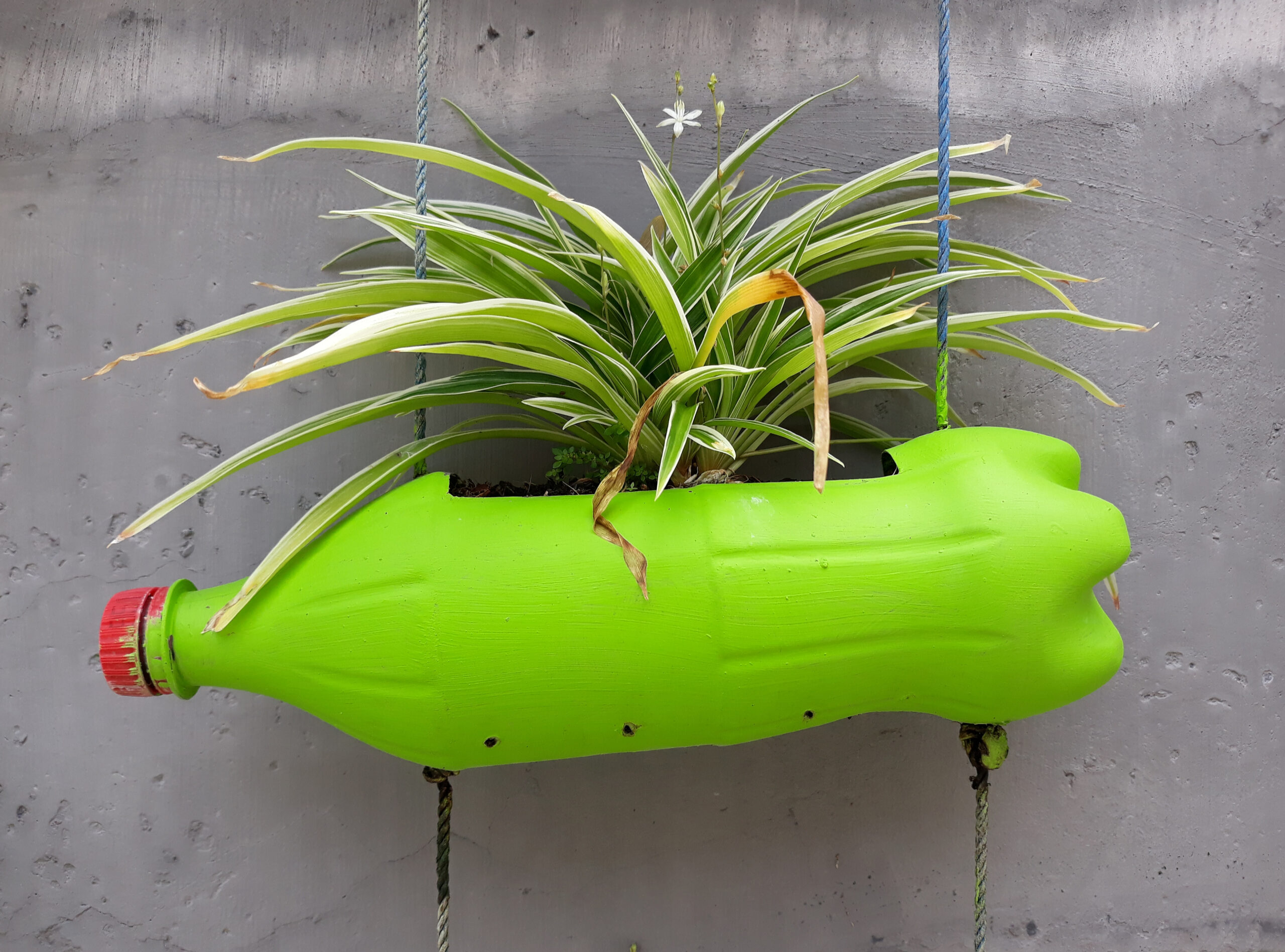 como fazer flores de garrafa pet passo a passo