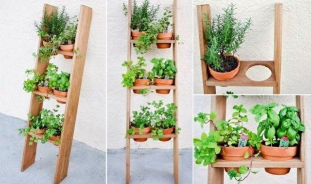 como fazer horta em apartamento pequeno