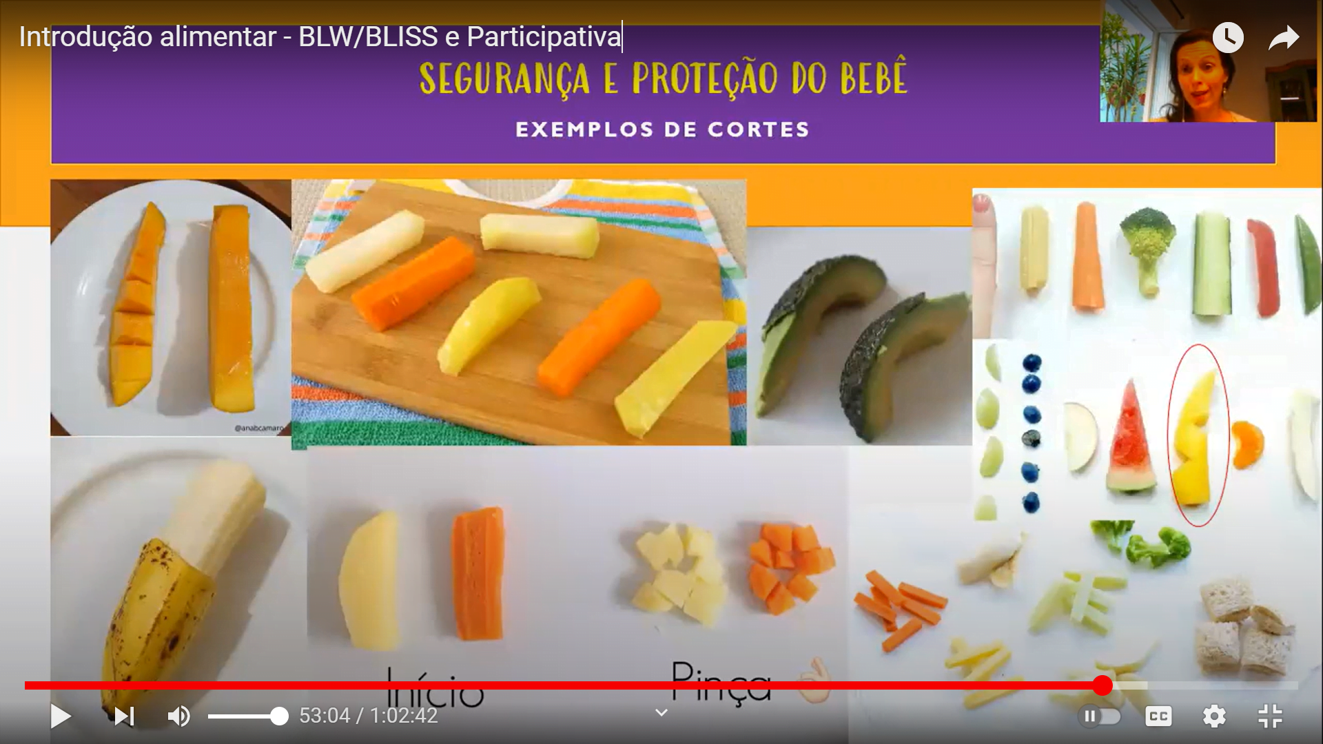 Como Fazer Introdução Alimentar Participativa e Saudável