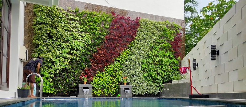 plantas nativas para jardim sustentável