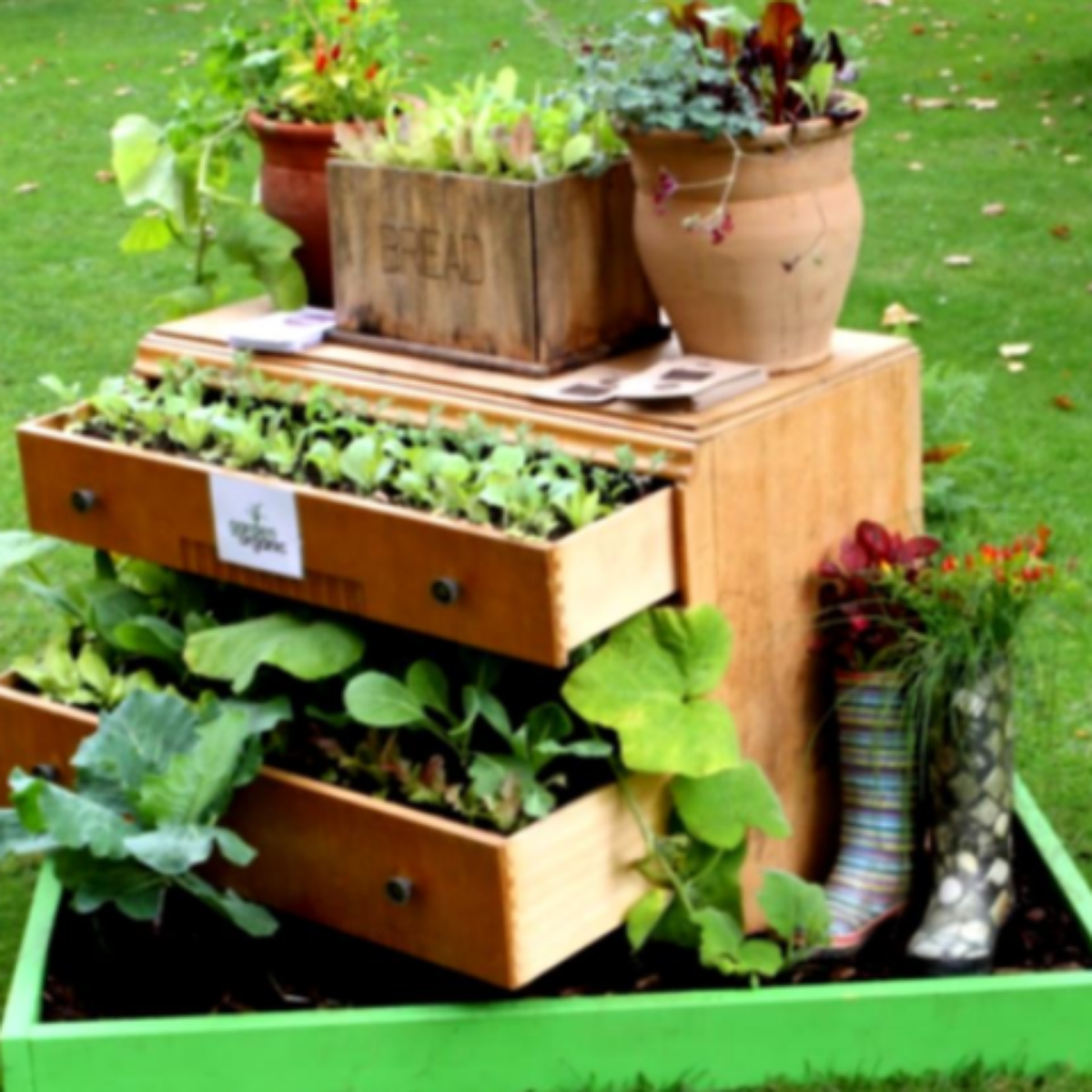 atrair polinizadores para o jardim