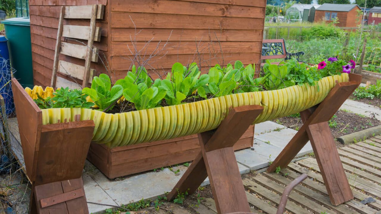 Como Fazer Jardinagem Orgânica Sustentável