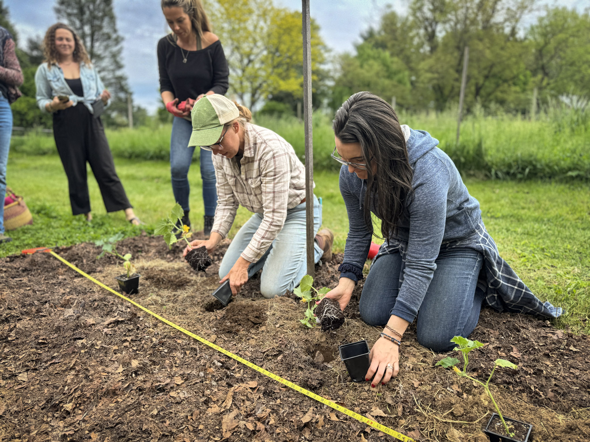 jardim orgânico sustentável passo a passo