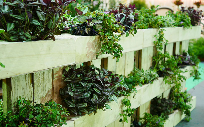 reutilização de materiais em jardinagem ecológica