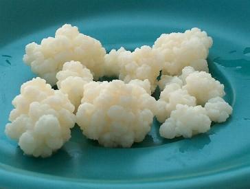 onde comprar graos de kefir saudaveis