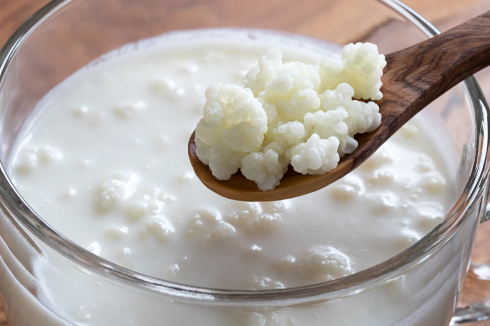 beneficios do kefir probiotico para saude intestinal