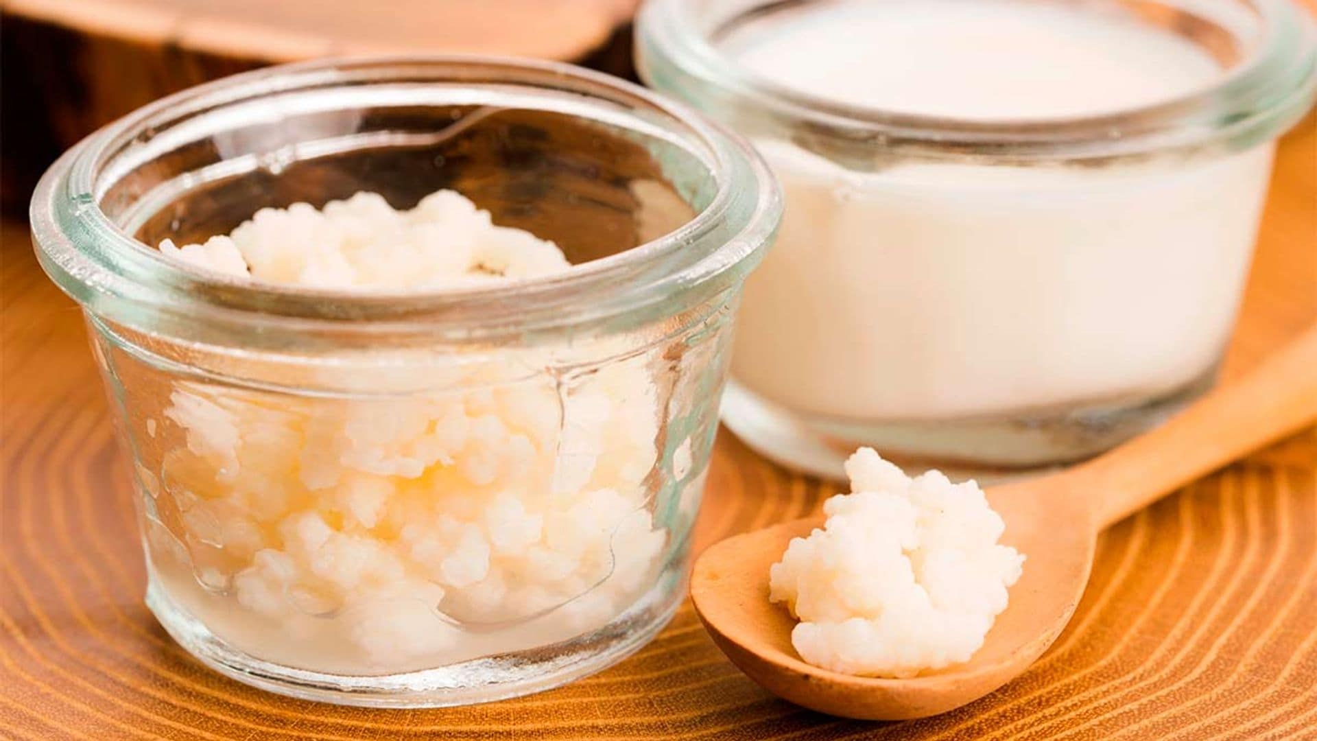 kefir de agua com acucar mascavo fermentacao