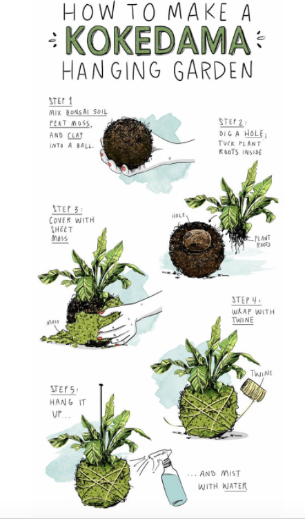 Kokedama na Decoração: Ideias Criativas para Ambientes Internos