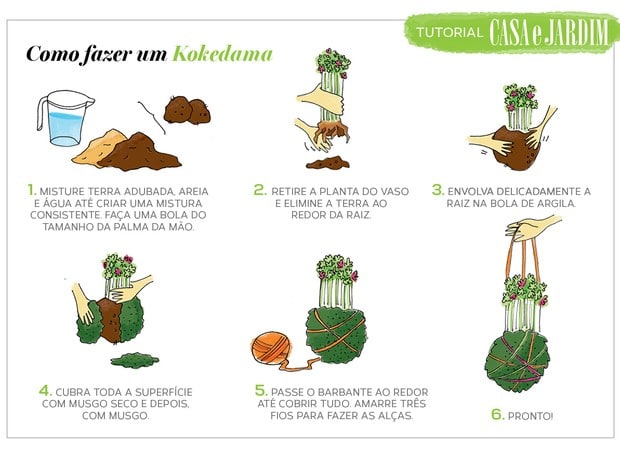 Kokedama para Iniciantes: Dicas Essenciais para o Primeiro Projeto