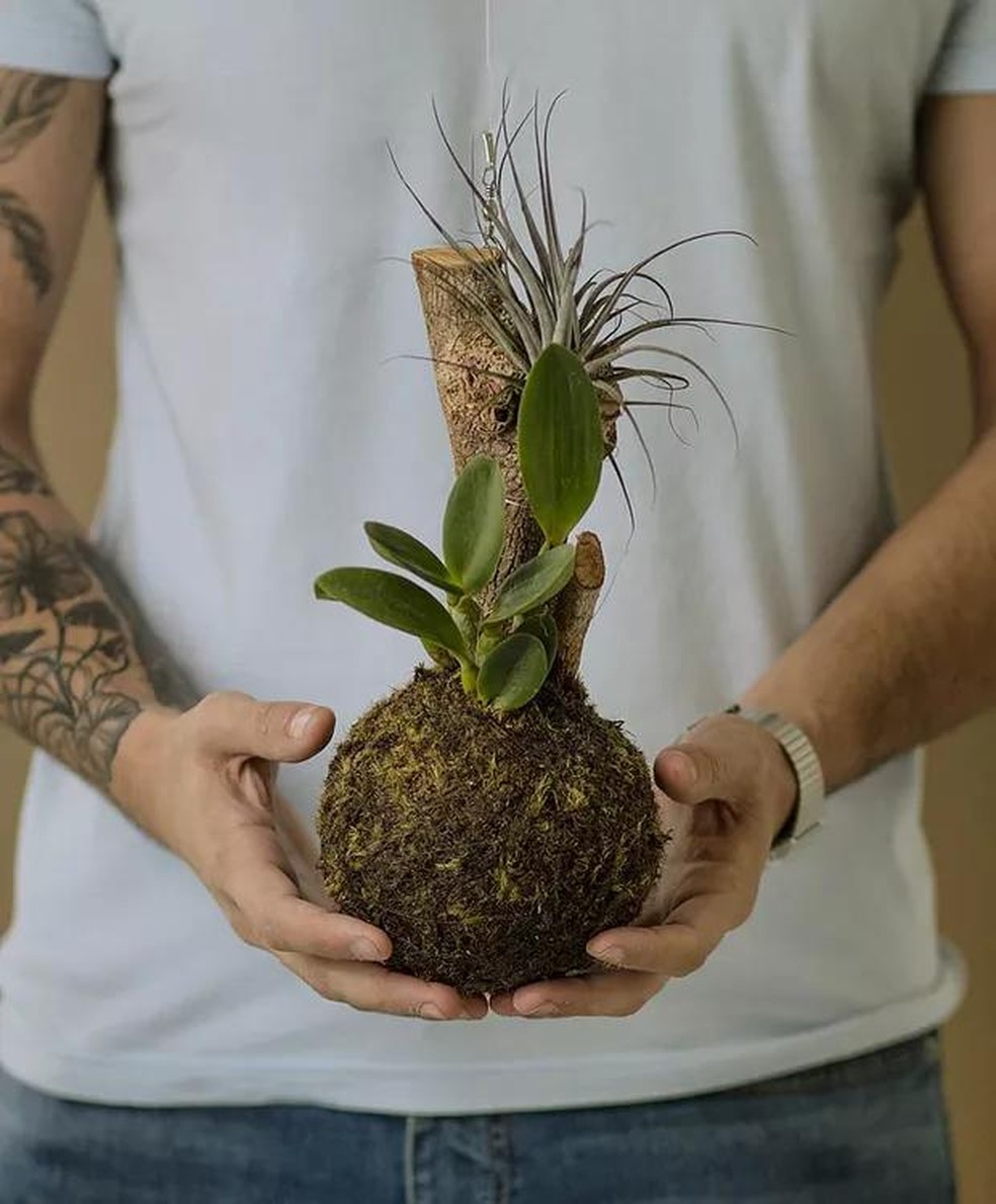 como fazer kokedama
